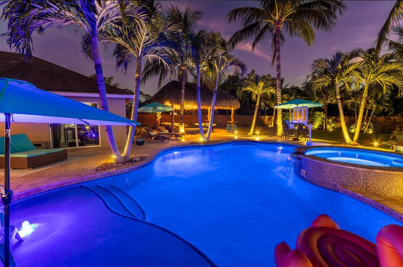 Pool illuminated at night with palm trees